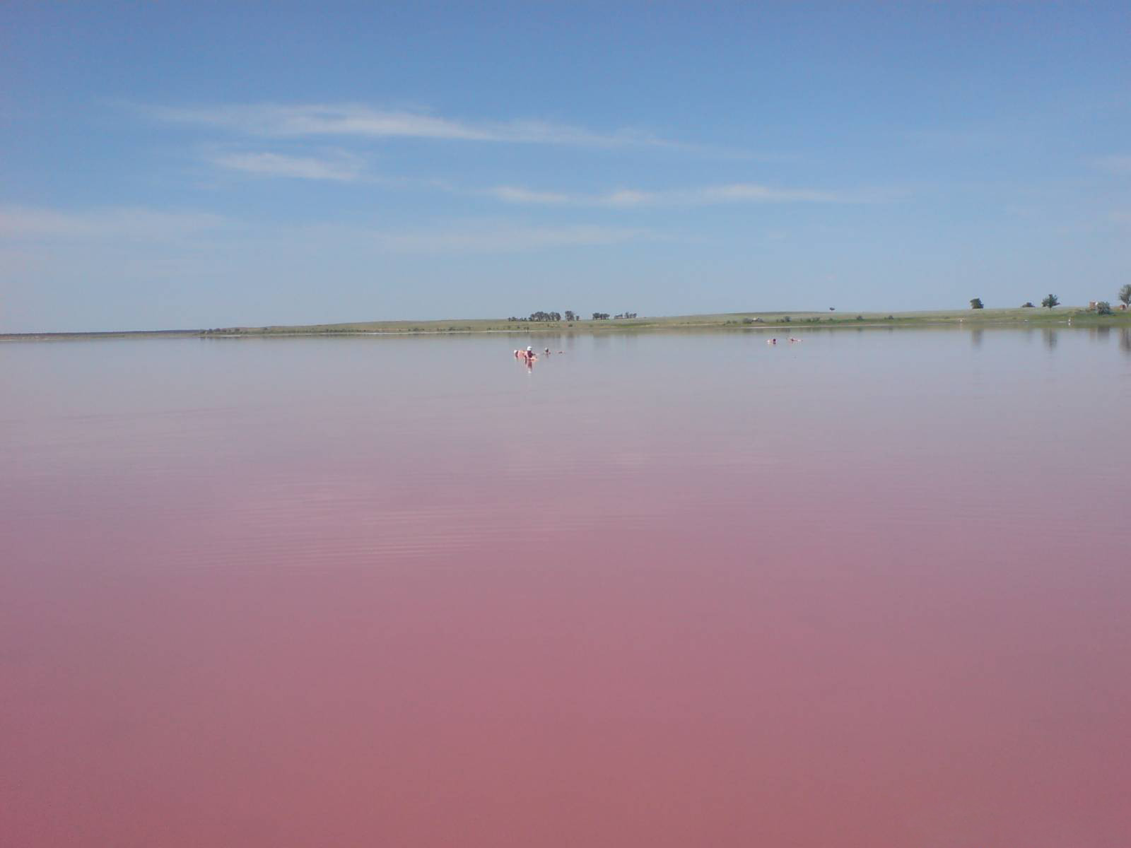 Розоватая вода Малинового озера в Алтайском крае